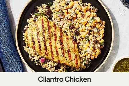Cilantro Chicken