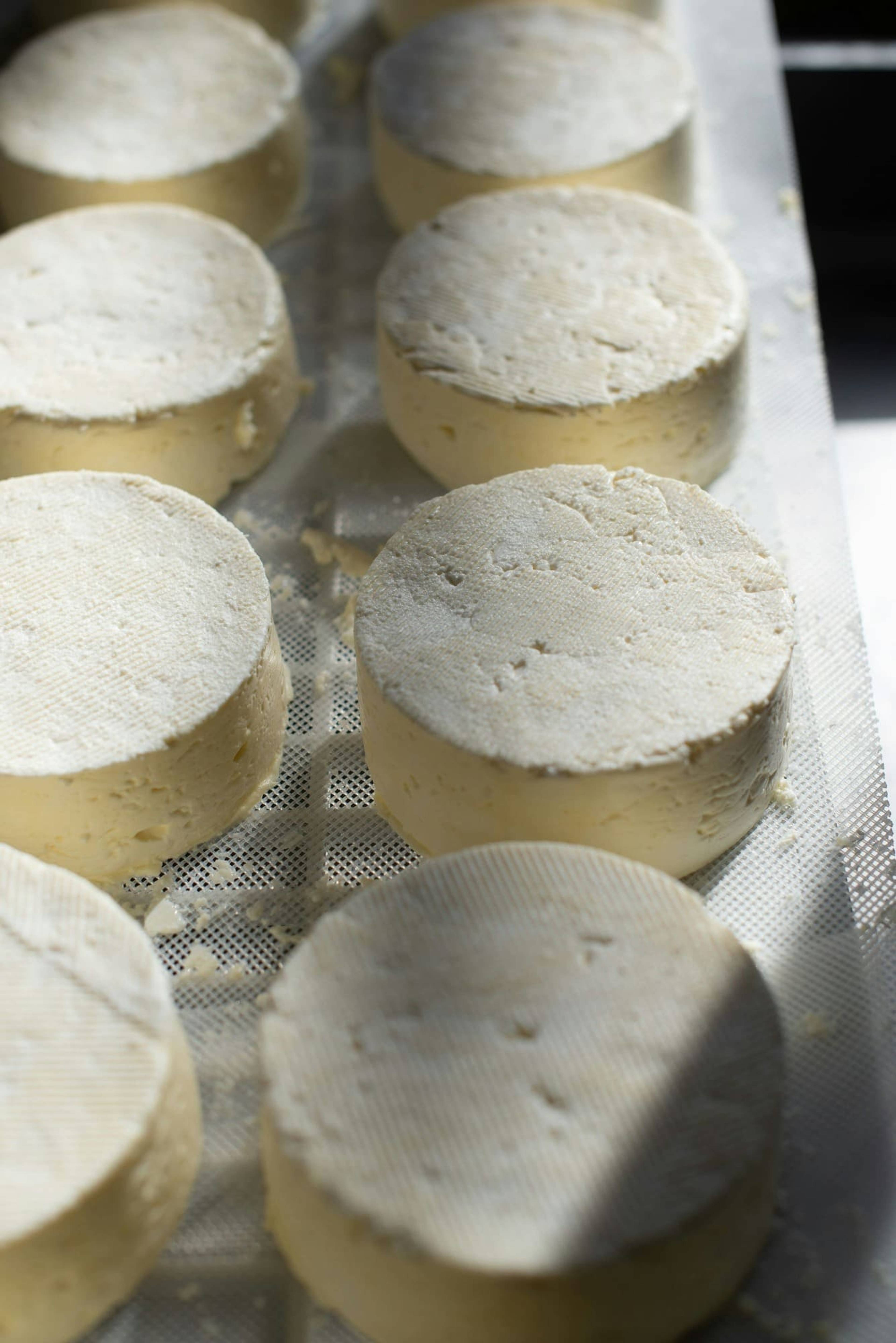 goat-cheese