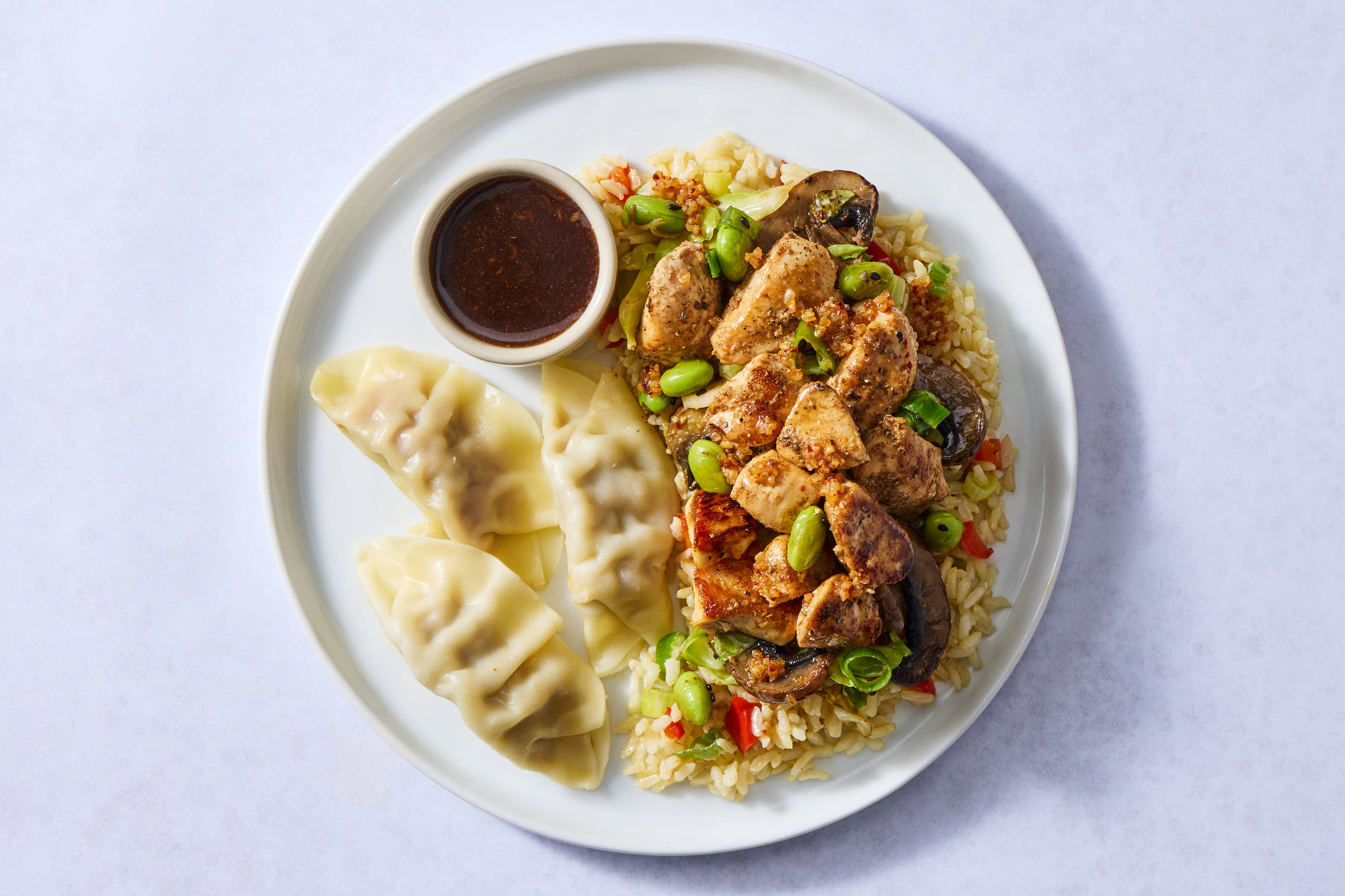Garlic Soy Chicken & Dumpling Bento Box