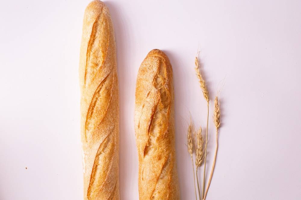 2. Carbohydrates