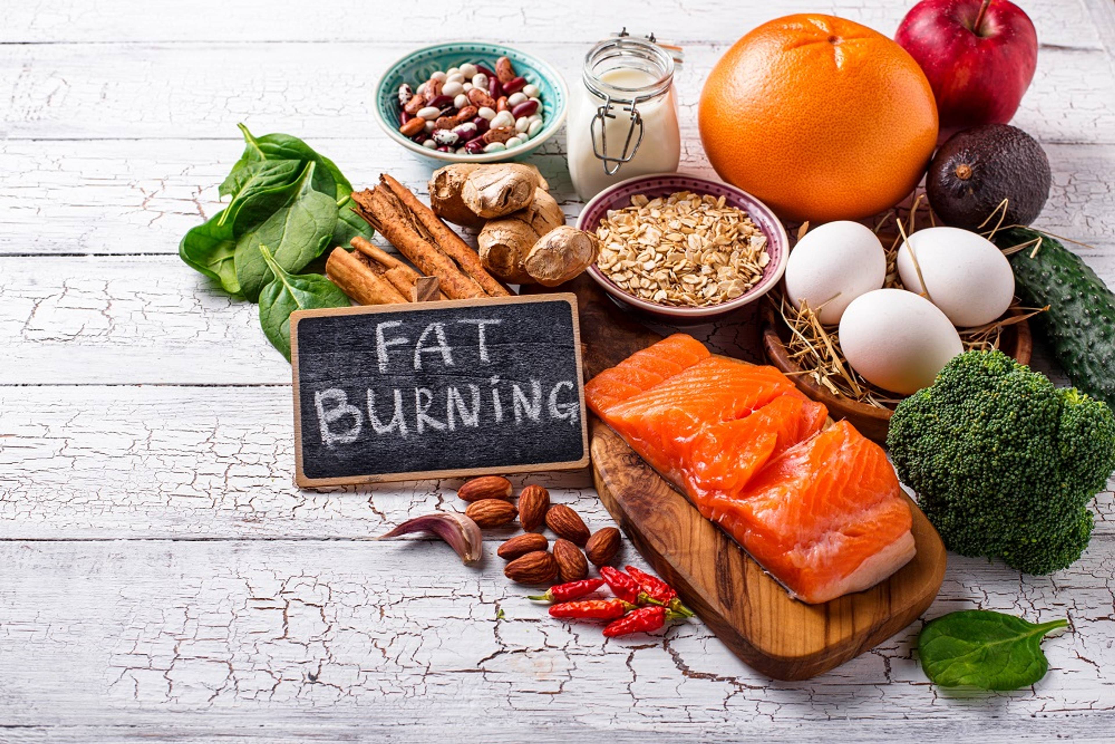 The Importance of Macros: Proteins vs. Carbs vs. Fats